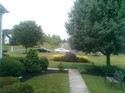 Click to view larger image